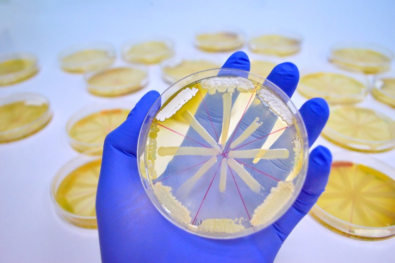 Update: Novel Coronavirus