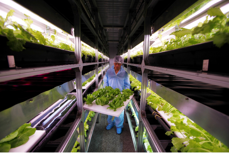 Galvanizing Game-Changers for the Future of Food