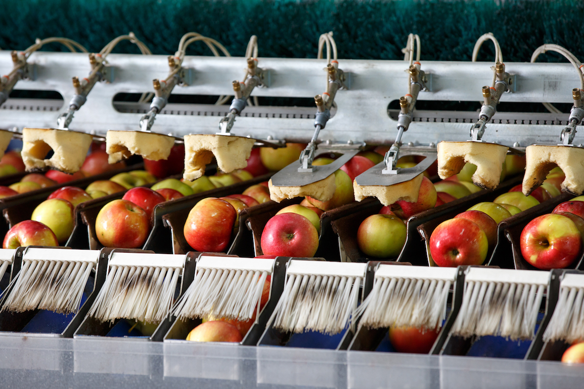 Using Data for Food Systems Resiliency