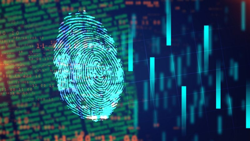 Scaling Up Digital Identity Systems