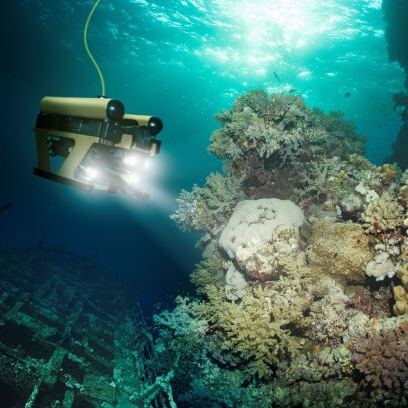 Harnessing Data for a Healthy Ocean