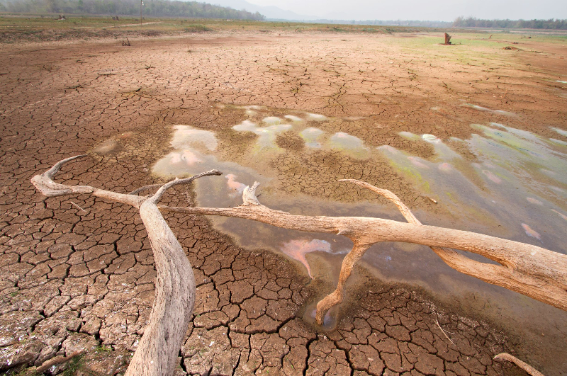 Mobilizing Action on Climate Change (Option 2)