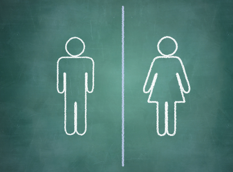 Placing Gender Parity at the Heart of the Recovery (Option 2)