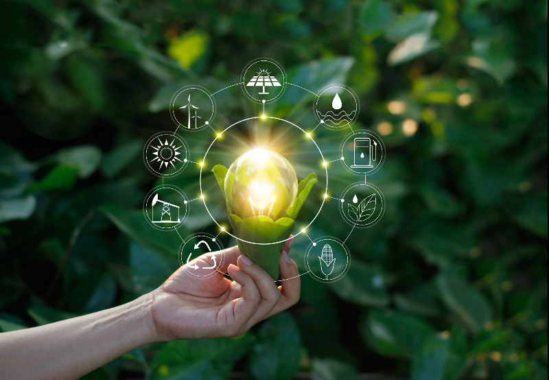 Financing the “Net-Zero” Transition (Option 2)