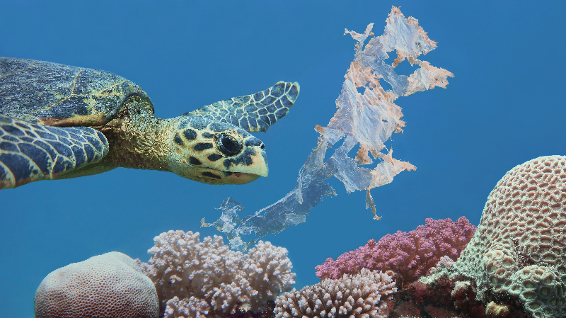 Shaping a New Ocean Economy (Option 2)