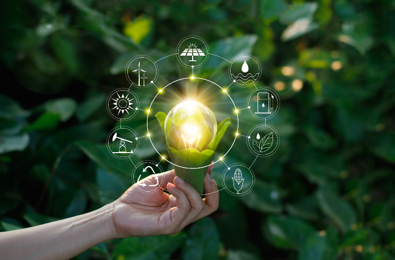 Financing the “Net-Zero” Transition (Option 1)