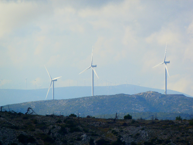 The Next Frontier: Corporate Governance