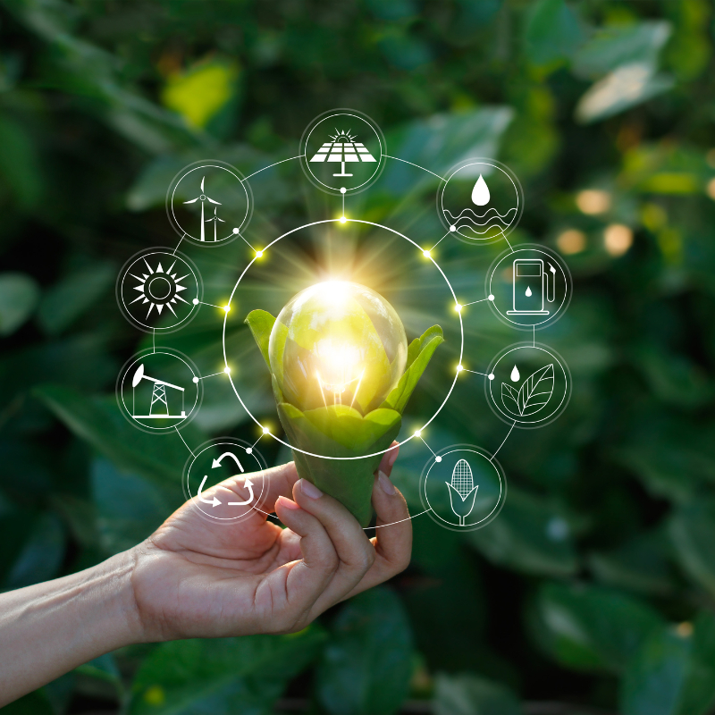 Food System Innovation