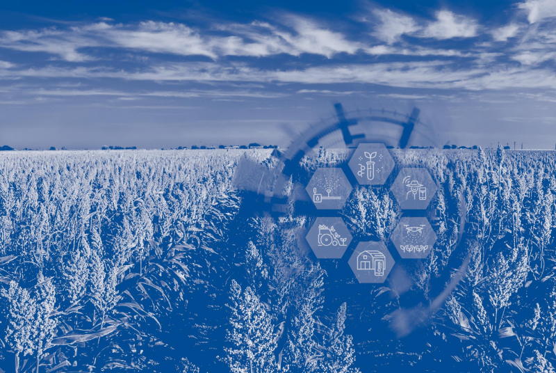 Transforming Agriculture