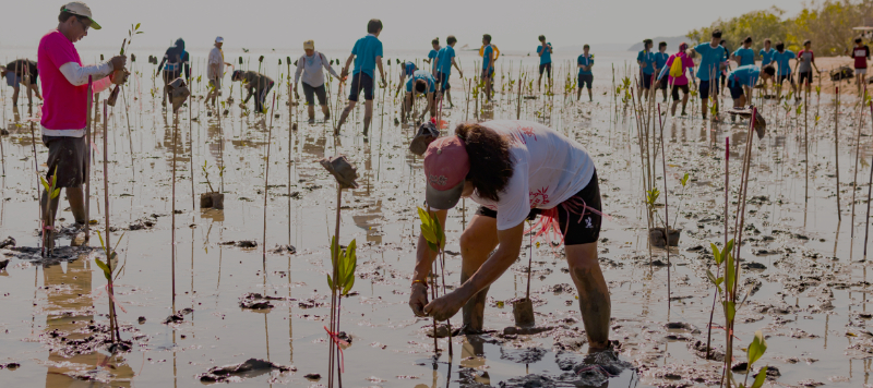 Ocean-Based Climate Solutions: Tapping the Ocean’s Potential for COP26 Success