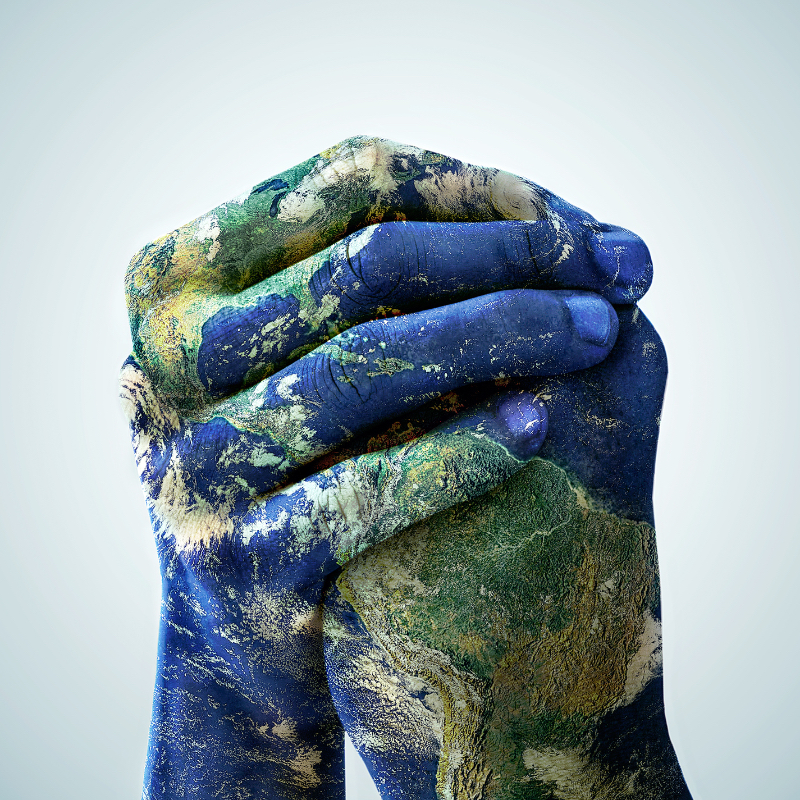 Demystifying Net Zero: Towards a Playbook for Action