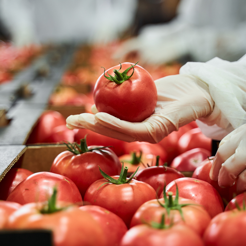 Galvanizing Country-led Pathways for Food