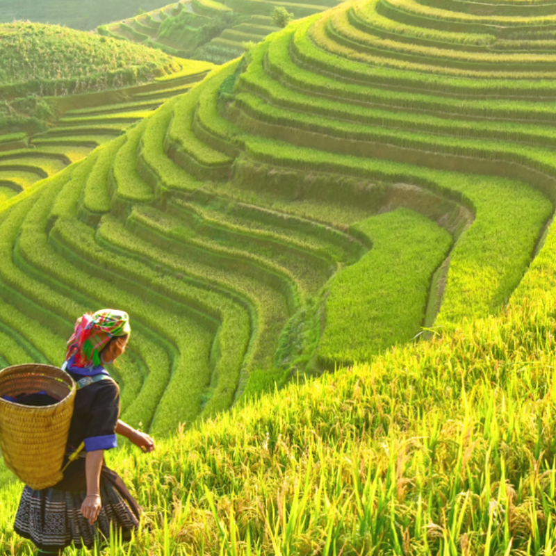 100 Million Farmers for Our Future