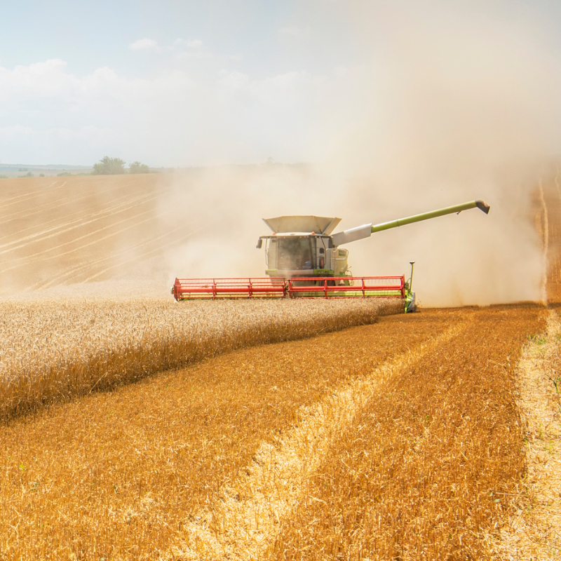 Breaking Silos to Achieve Food and Climate Security