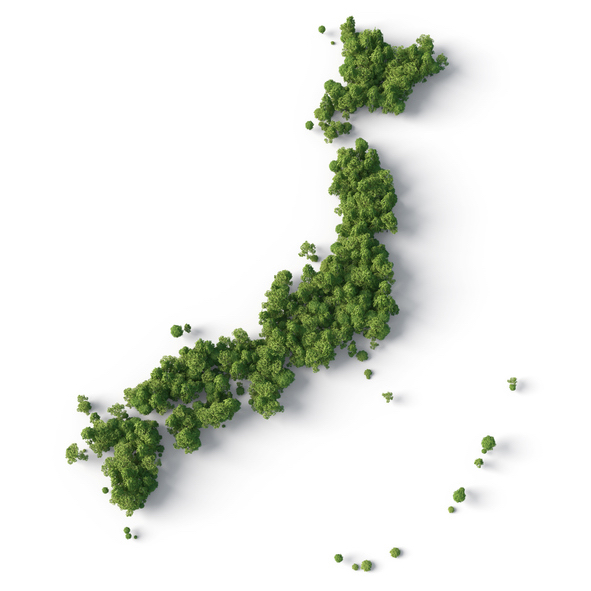 Building Sustainable Food Value Chains in Asia