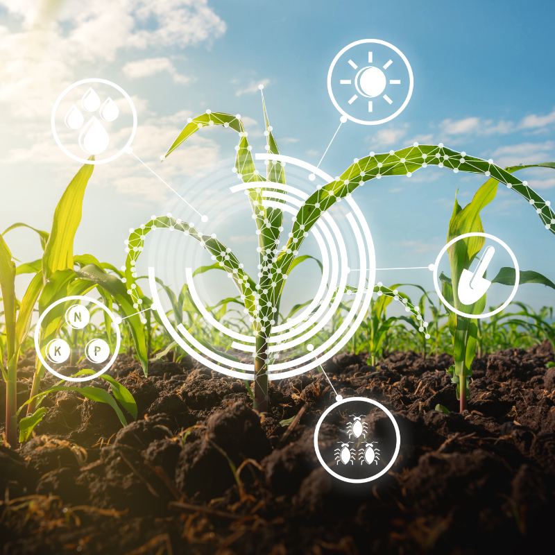 Scaling Technology and Innovations for Future Food Systems