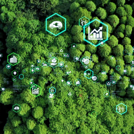 Innovating for Sustainability: The Entrepreneurs who Could Save the World