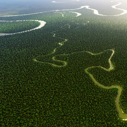 Fostering the Amazon's Bioeconomy