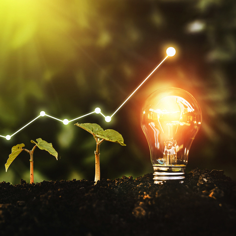 Financing the Net-Zero Future