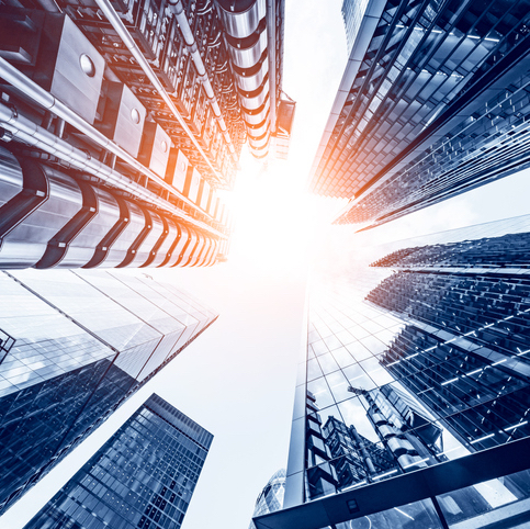 Social Intrapreneurship for ESG Targets