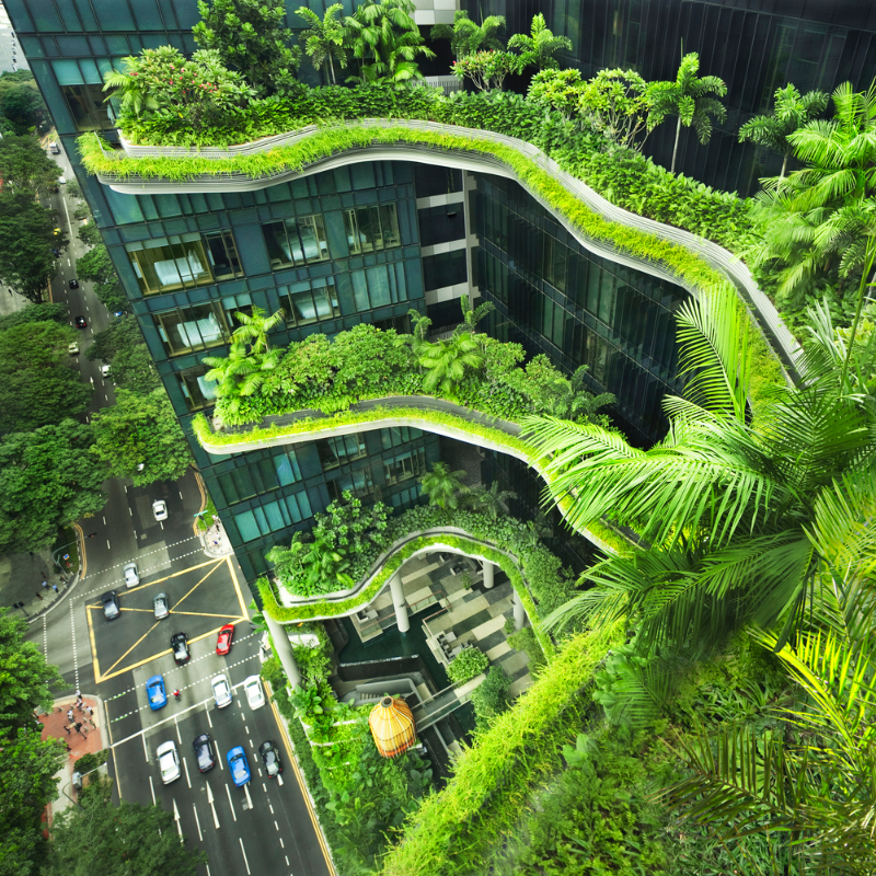 A New Compact for Resilient Economies and Societies
