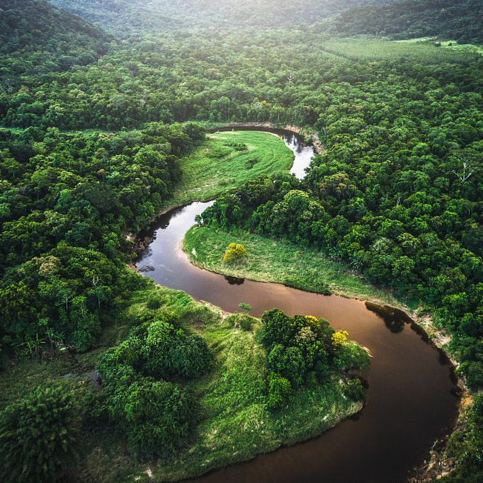 Who Are the 'Ecopreneurs' Restoring the Amazon?