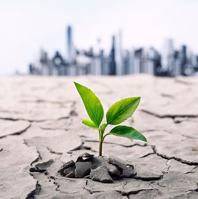 What Are the Big Ideas to Fight Climate Change?