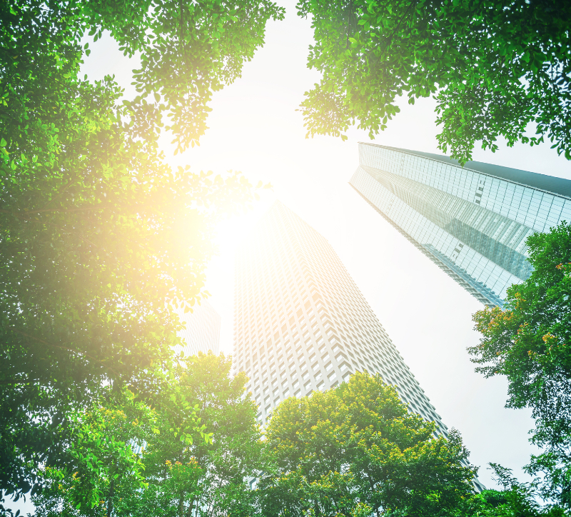 Accelerating Corporate Investment in Nature