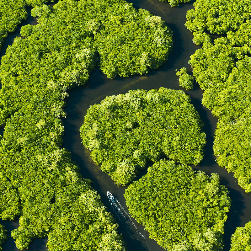 Staying on Course for Nature Action