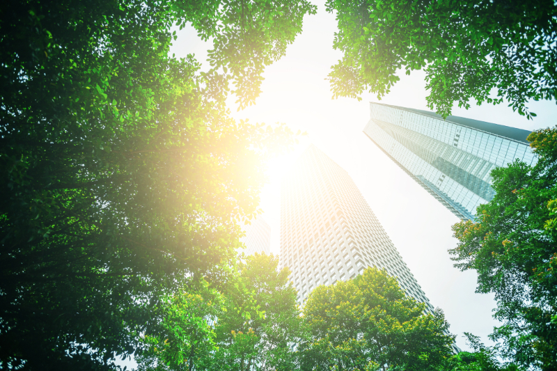 Accelerating a Nature-Positive Economy for People and Planet
