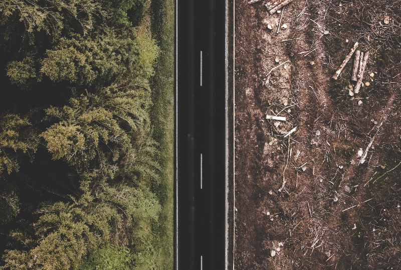 A Wake-Up Call from Nature