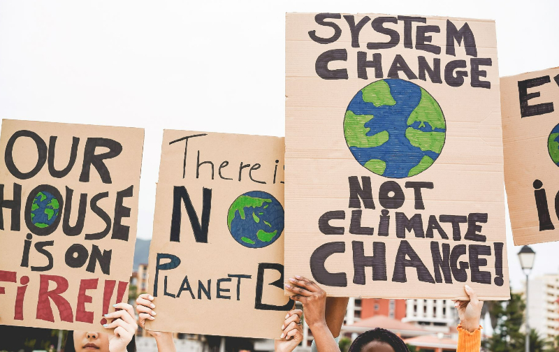 Leadership and Organizational Transformation for Sustainability