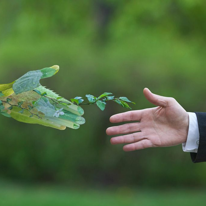 Sustainability Reporting: Best Practices from Asia's Champions