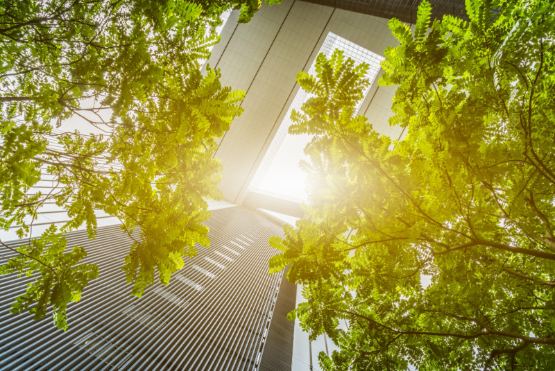 Scaling Corporate Climate Leadership in Asia and Beyond