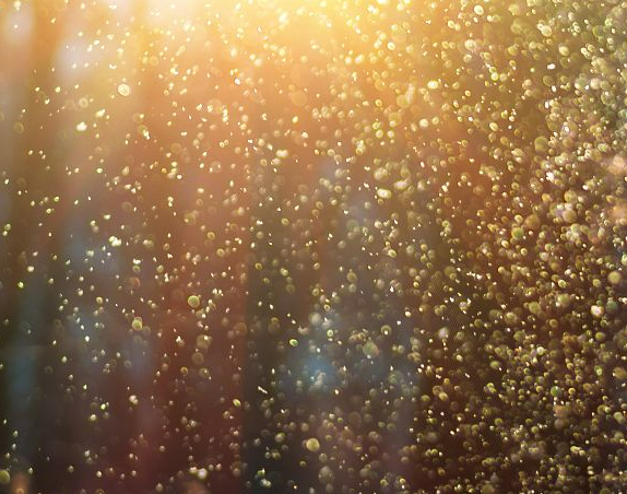 How to Live Meaningfully with Climate Anxiety with Stanford University