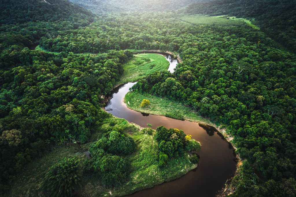 Finding a Balance for the Amazon