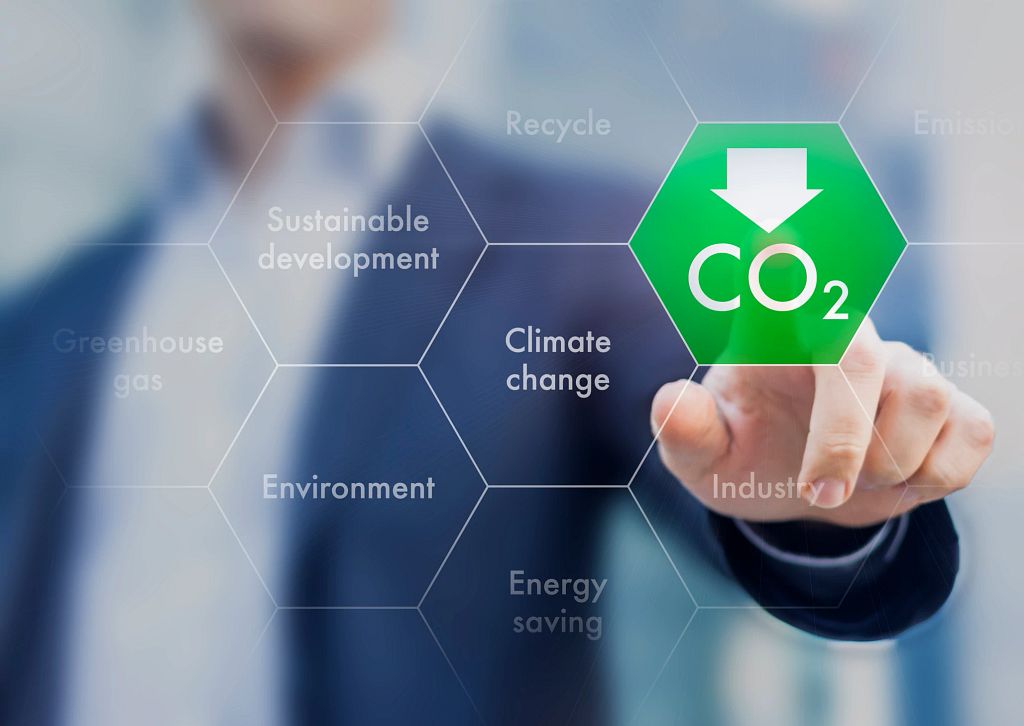 Bold Steps for a Sustainable MENA