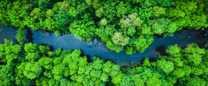 Chief Sustainability Leaders: Driving the Future of Nature and Climate