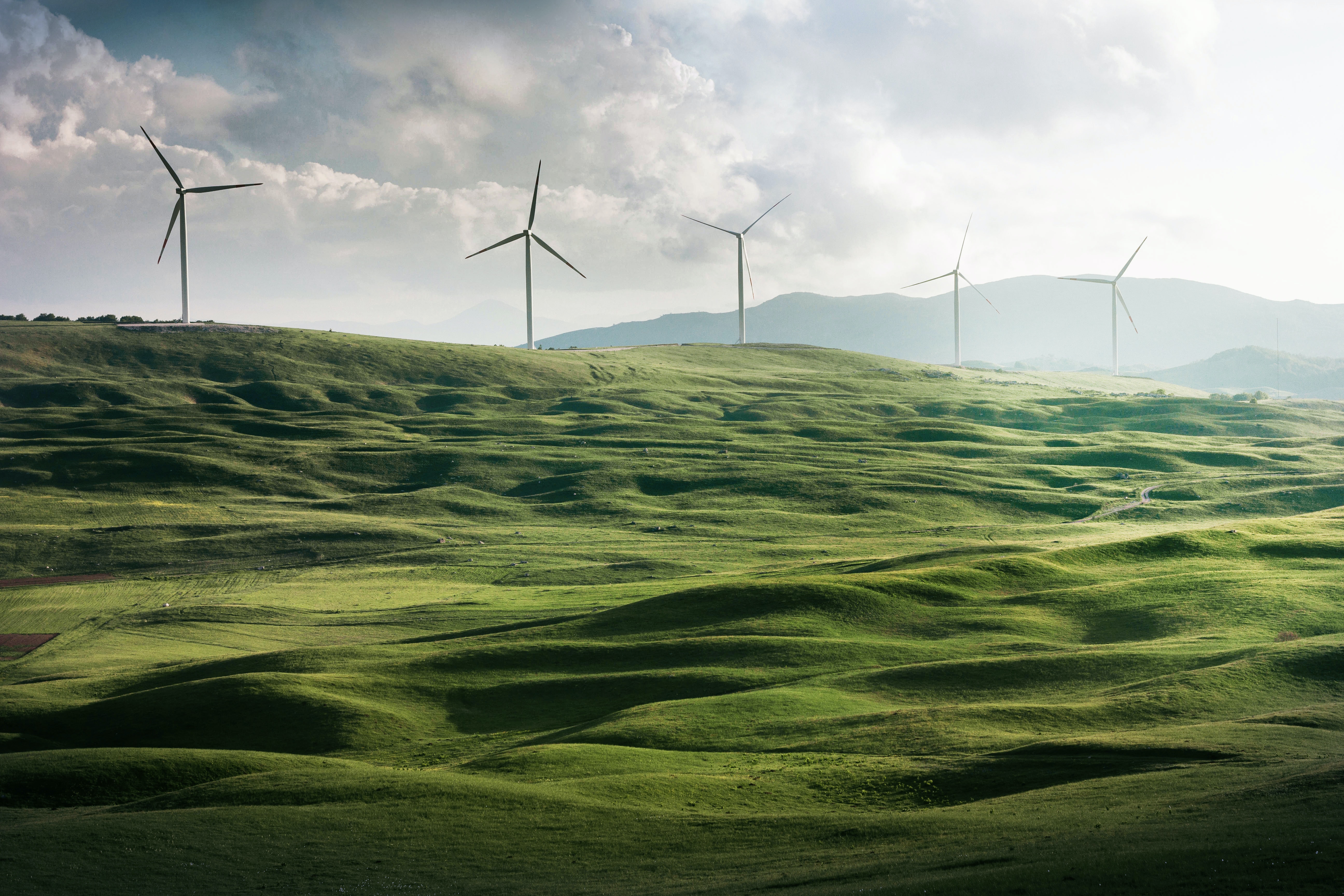 Tripling Renewables: Make It Rapid and Responsible