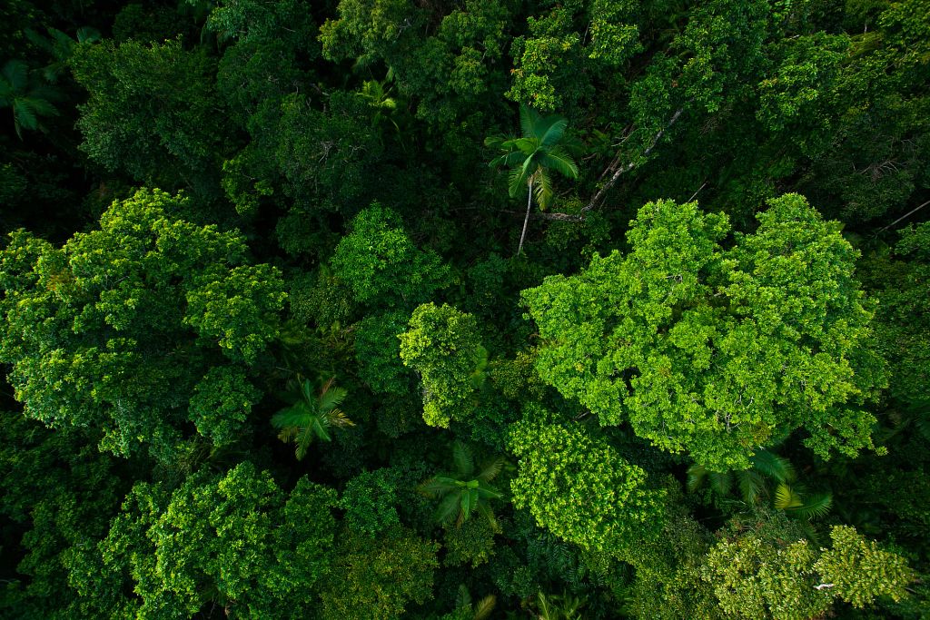 Setting Standards for Nature