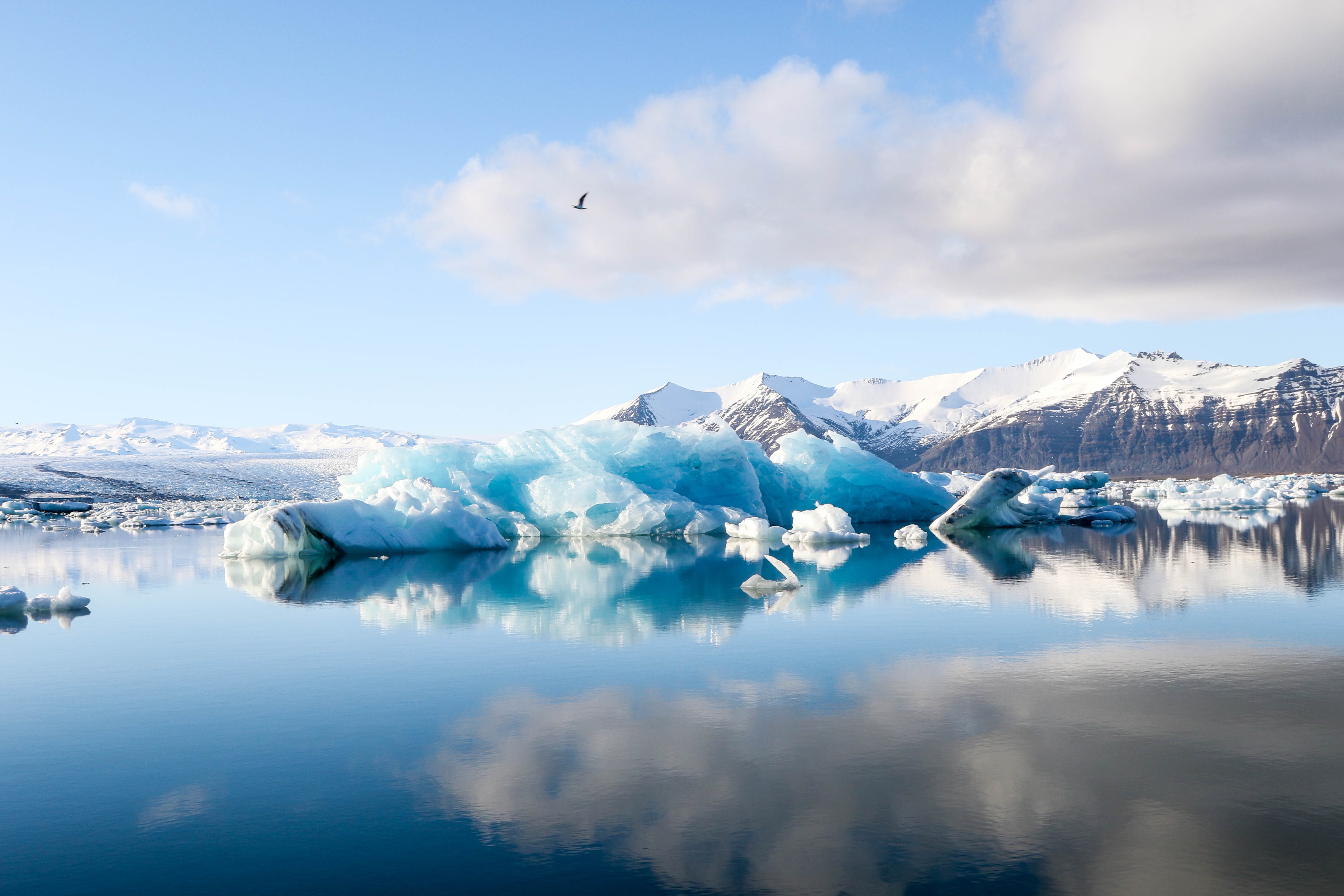 Open Forum: On Thin Ice