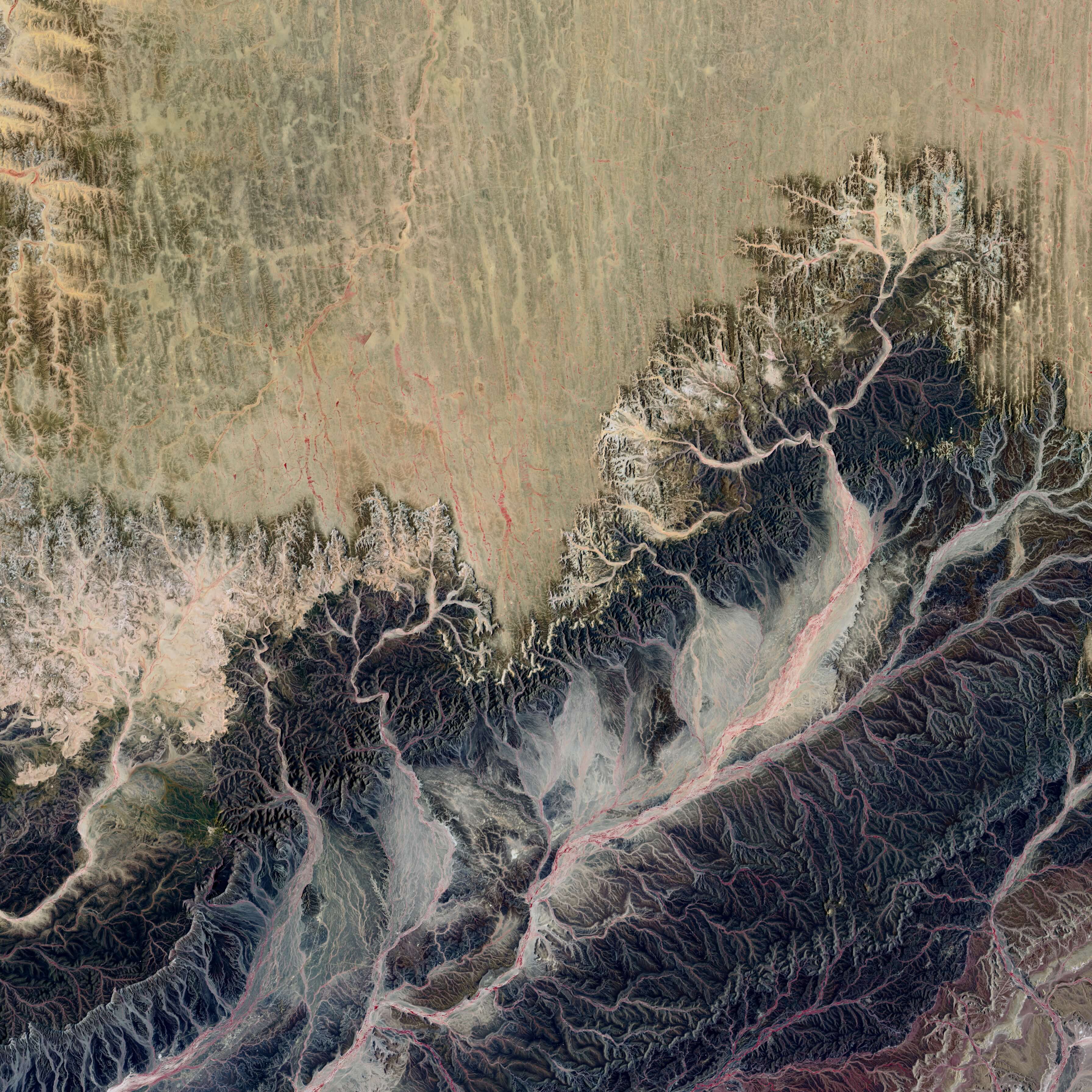 Climate and Nature: A Systemic Response Needed