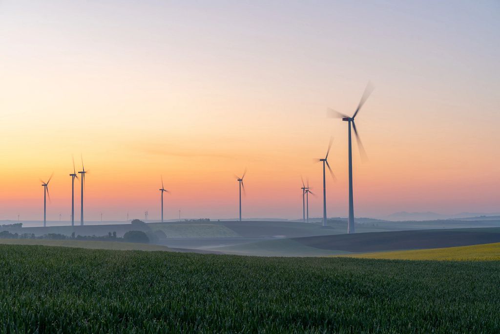 European Green Deal, Anyone?
