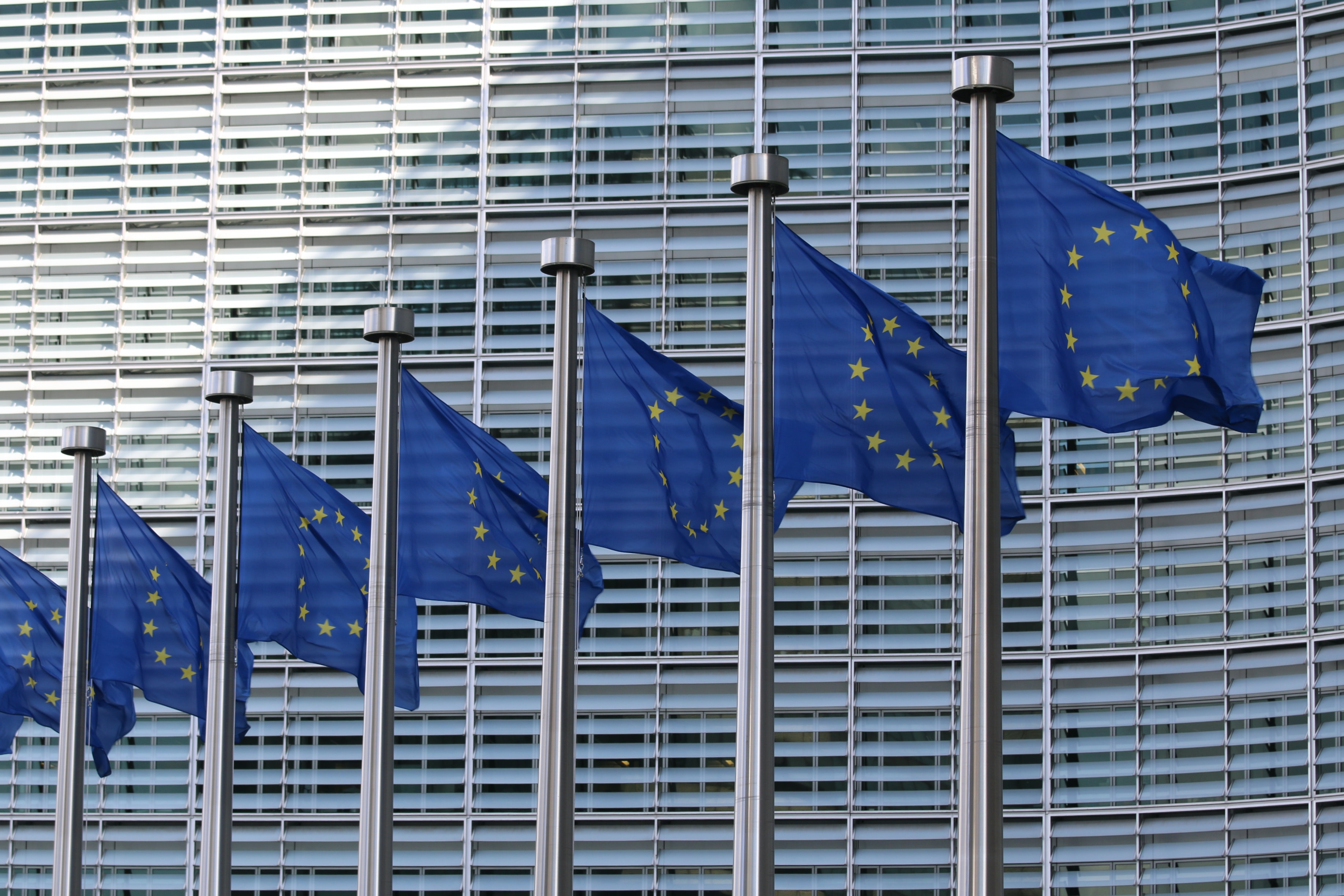 The Business Case for EU Enlargement