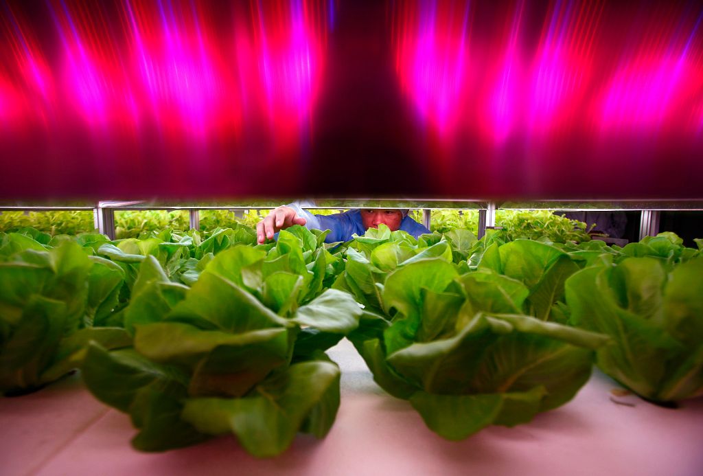 No Rain, no Flowers: Funding Start-ups
