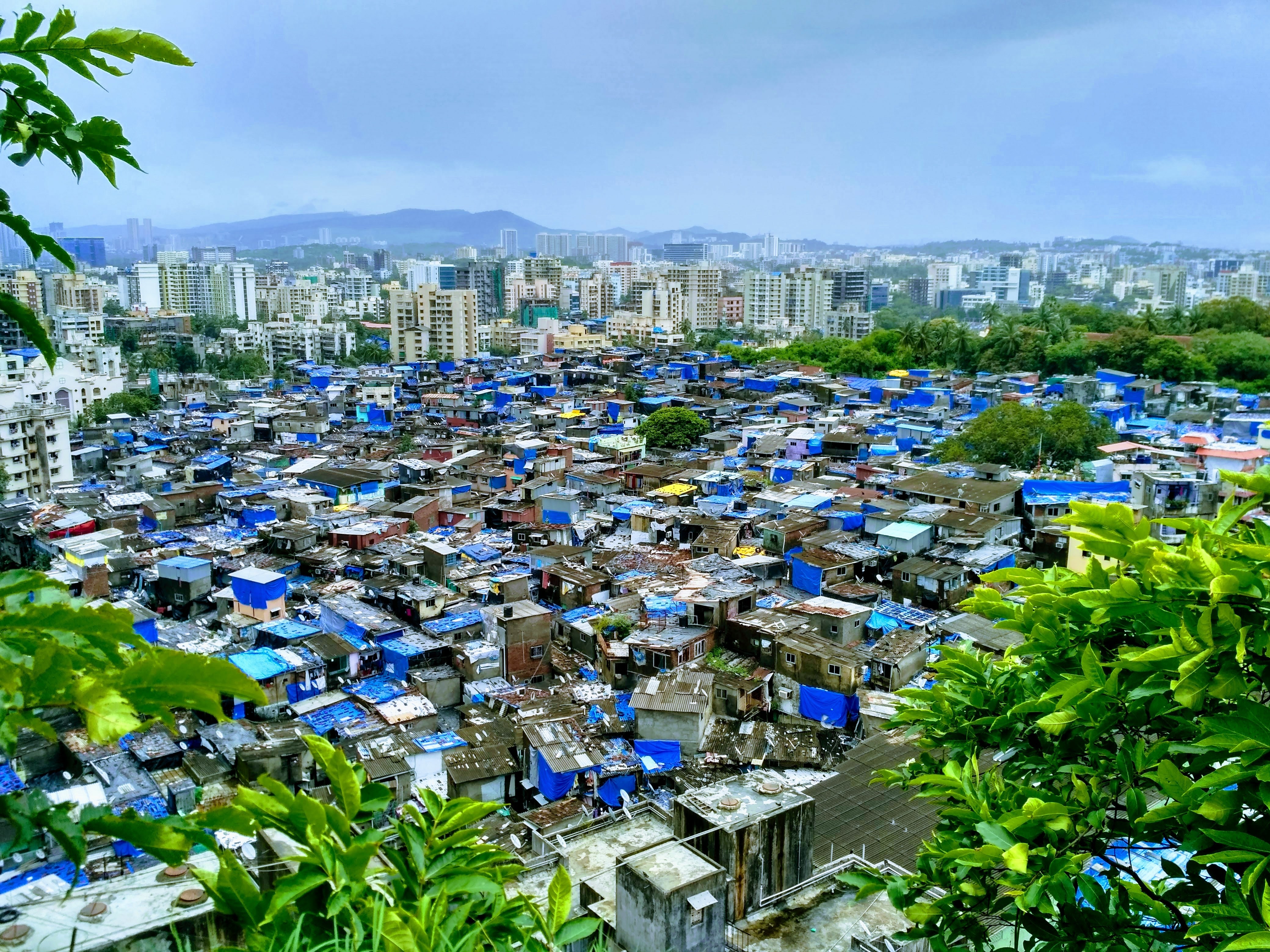 The World in Numbers: Inequality