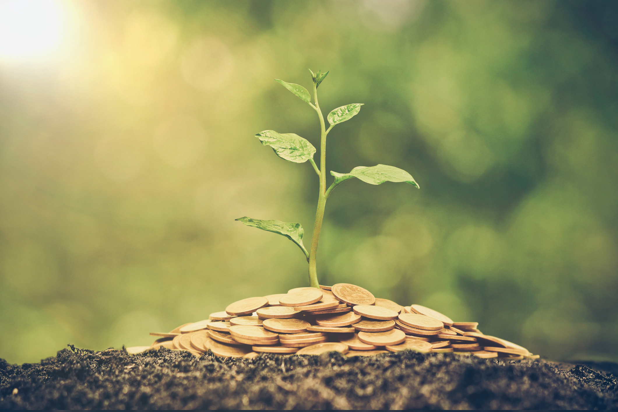 Lifting Up Local Economies