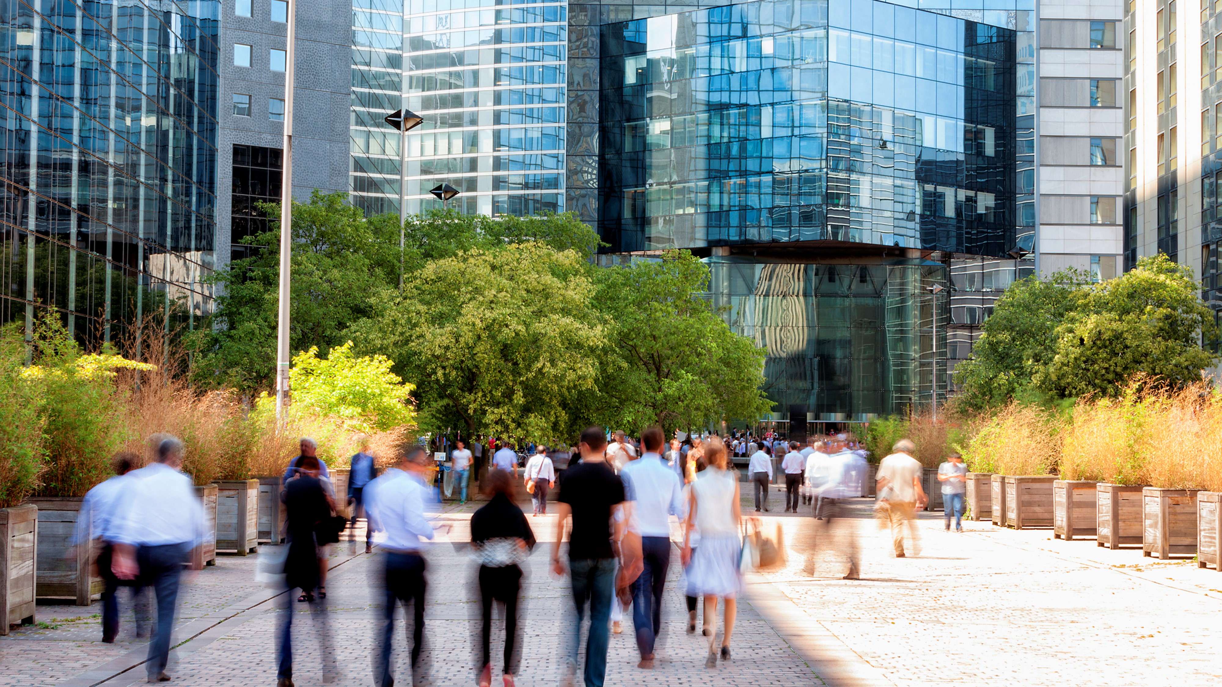 Good Growth: Lessons From the Field