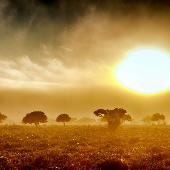 Mapping Solutions for: Extreme Weather