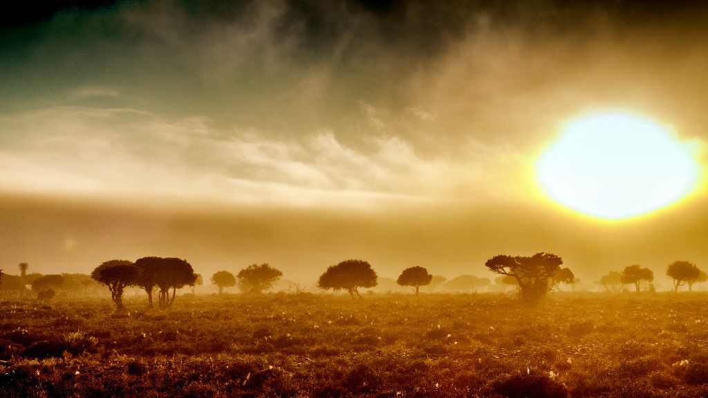 Mapping Solutions for: Extreme Weather